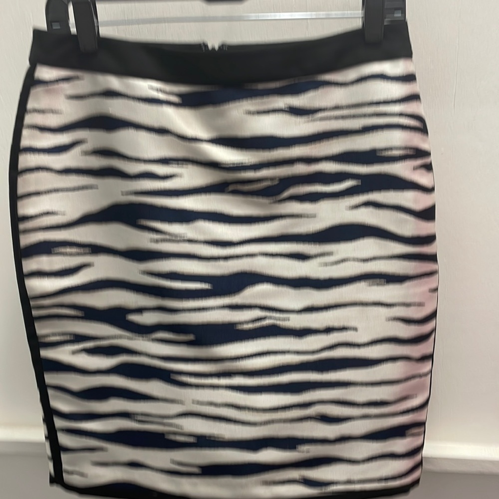 Ann Taylor Skirt